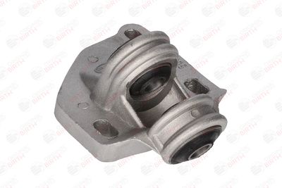 BUCSA ARBORE DE DIRECTIE BIRTH 5023 9