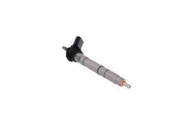 INJECTOR REMANTE 002003001039R 54