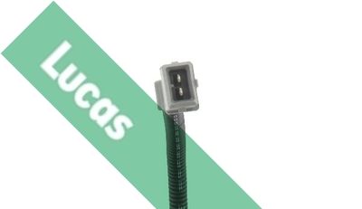 SENOR BATAI LUCAS SEB2015 1