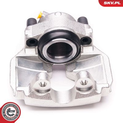 Article Picture