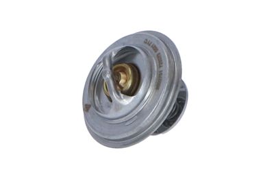 TERMOSTAT LICHID RACIRE NRF 725073 12