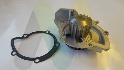 POMPă DE APă RăCIRE MOTOR MOTAQUIP LVWP967 1