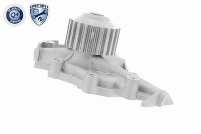 POMPă DE APă RăCIRE MOTOR ACKOJA A510700 7