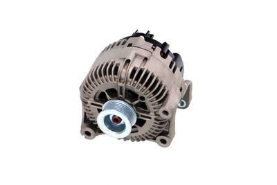 GENERATOR / ALTERNATOR REMANTE 011003000789R 61
