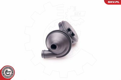 Valve, crankcase ventilation 31SKV025