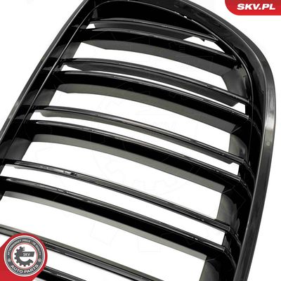 GRILA RADIATOR ESEN SKV 66SKV281 5