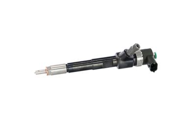 INJECTOR REMANTE 002003002244R 9