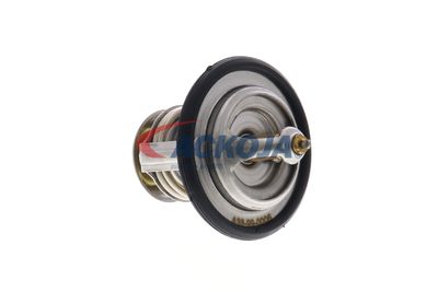 TERMOSTAT LICHID RACIRE ACKOJA A38990006 18