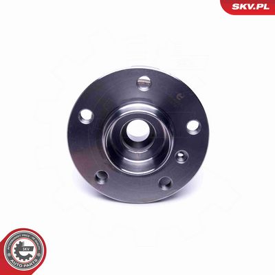 SET RULMENT ROATA ESEN SKV 29SKV366 3