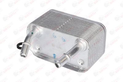 RADIATOR ULEI ULEI MOTOR BIRTH 80043 2