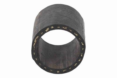 FURTUN EAR SUPRAALIMENTARE ACKOJA A701304 4