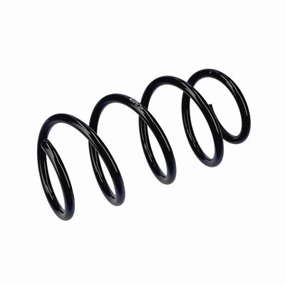 ARC SPIRAL EIBACH R20284 5