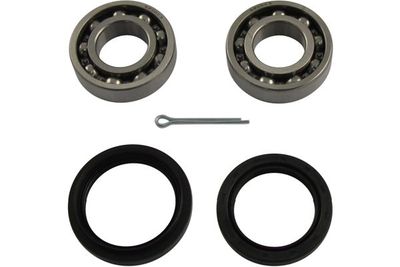 Kavo Parts Rato guolio komplektas