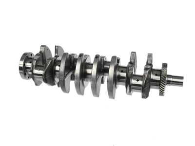 ARBORE COTIT ET ENGINETEAM HK0182 19