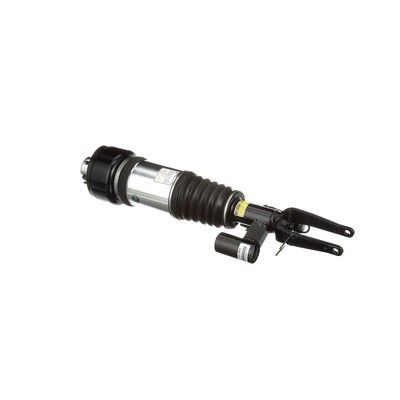 LUFTFEDERBEIN Arnott AS3001 30