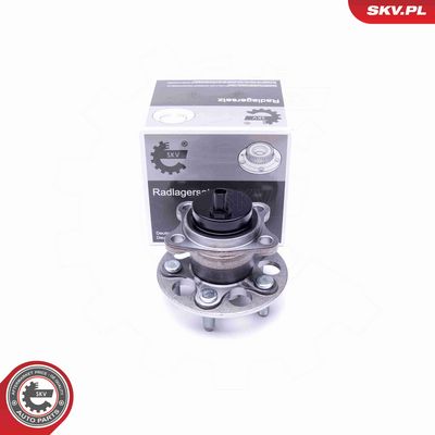 Article Picture