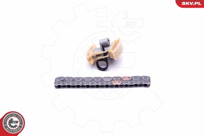 Timing Chain Kit 21SKV227