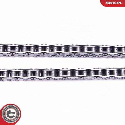 CHIT LANT DE DISTRIBUTIE ESEN SKV 21SKV167 2