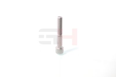 SURUB CAPAT DE AX GH GH391070 42