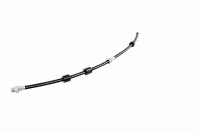 FURTUN FRANA VAICO V220619 4