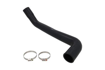 FURTUN EAR SUPRAALIMENTARE