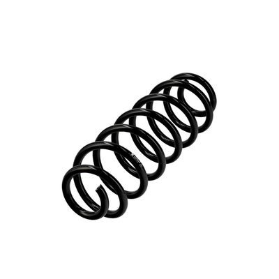ARC SPIRAL EIBACH R23025 3