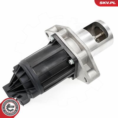 ERG vožtuvas