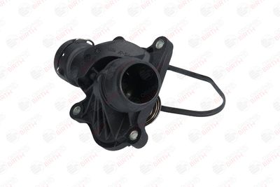 FLANSA LICHID RACIRE BIRTH 8992 3