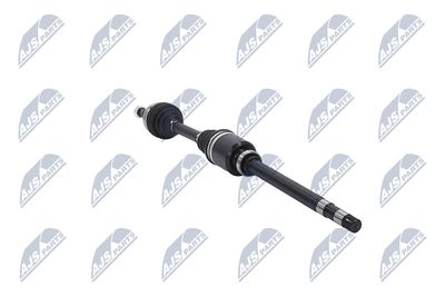 PLANETARA NTY NPWCT026 31