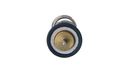 TERMOSTAT LICHID RACIRE NRF 725069 34