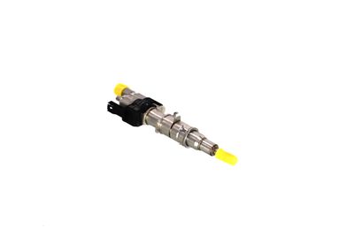 INJECTOR REMANTE 013002002266R 48
