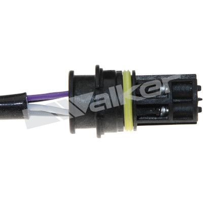 LAMBDASONDE WALKER PRODUCTS 25024595 2