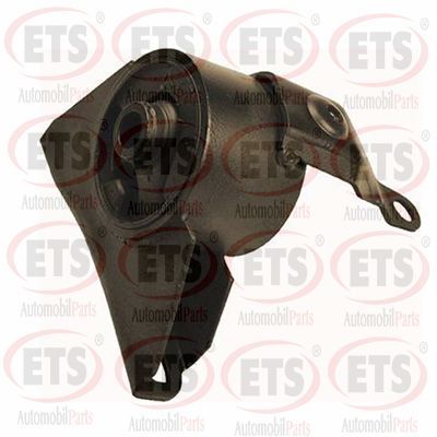 окачване, двигател ETS 29.ST.508