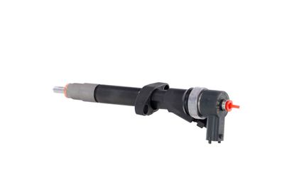 INJECTOR REMANTE 002003001027R 16