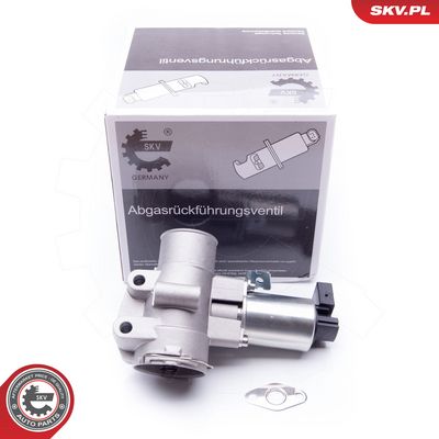 AGR-Ventil ESEN SKV 14SKV186