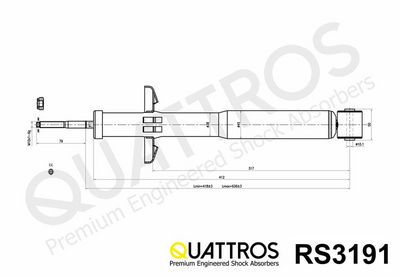 AMORTIZOR DAVID VASCO RS3191 2