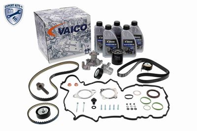 SET CUREA DE DISTRIBUTIE VAICO V253148 1