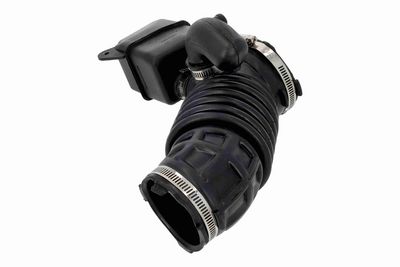 FURTUN ALIMENTARE AER ACKOJA A380593 5