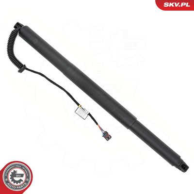 ESEN SKV Galinių durų elektros variklis