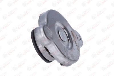 BUSON RADIATOR BIRTH 80429 10