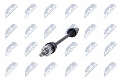 PLANETARA NTY NPWMS125 36