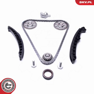 CHIT LANT DE DISTRIBUTIE ESEN SKV 21SKV233 1