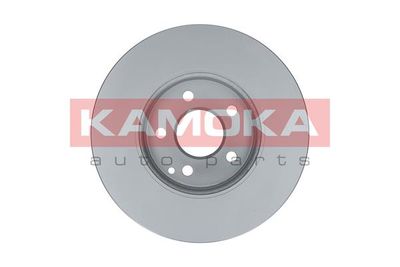 Brake Disc 103278