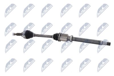 PLANETARA NTY NPWFR074 26