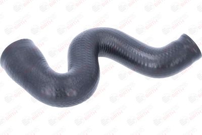 FURTUN EAR SUPRAALIMENTARE BIRTH 55710 7