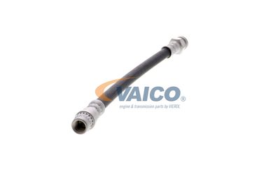 FURTUN FRANA VAICO V220616 41