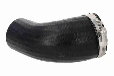 FURTUN EAR SUPRAALIMENTARE ACKOJA A520884 3