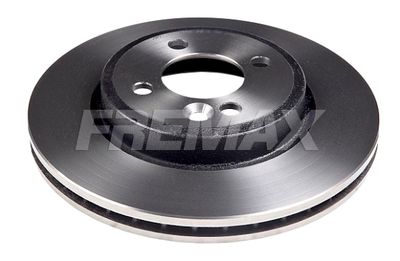 Jarrulevy FREMAX BD-2891 – MINI