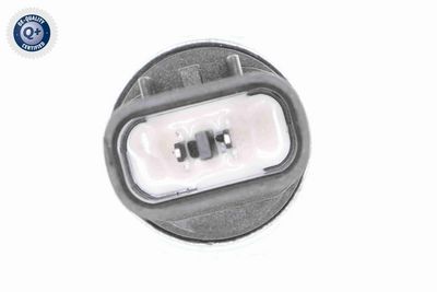 SCHALTER RüCKFAHRLEUCHTE VEMO V37730001 1