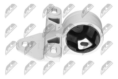 SUPORT MOTOR NTY ZPSCH001 25